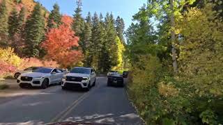 Scenic Autumn Drive Millcreek Canyon from the entrance 4K  Utah [upl. by Urian]