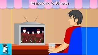 Responding to Stimulus Learn for Children and Kids  EDUKID Learning [upl. by Brockwell]