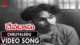 Cheliyaledu Video Song  Devadasu Movie  ANR Savitri [upl. by Mutua]