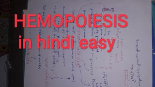 Hemopoiesis  formation of blood in bone marrow in hindi  hemopoietic growth factors very easy way [upl. by Hatty126]