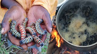 MOPANE WORMS STEW  Cooking amp Eating Dried Mopane Worms [upl. by Padraic]