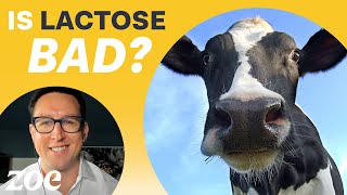 Everything youve heard about lactose is wrong  Dr Will Bulsiewicz [upl. by Assirialc]