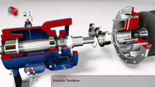 Salvatore Robuschi Mechanical Seal Arrangement [upl. by Garling]