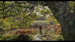 Autumn in Gwydir Forest [upl. by Uos]