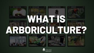 What is Arboriculture [upl. by Eyma63]