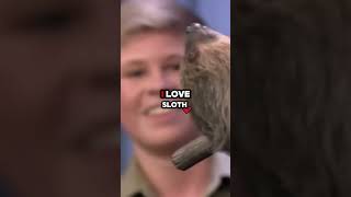 Jimmy Fallon amp Robert Irwin Meet Valentino the Baby Sloth Pure Cuteness 🦥❤️ funny [upl. by Malina]