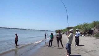 Rio Vista Fishing Sandy Beach Park Sturgeon Part 1 Sacramento river California [upl. by Ancelin294]