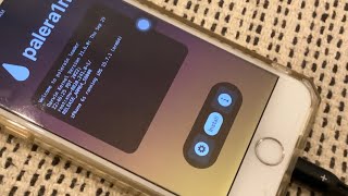 Jailbreaking iOS 15162 with palera1n developer jailbreak  UbuntuLinux Tutorial [upl. by Annairba]