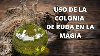 COMO USAR COLONIA DE RUDA SUS PROPIEDADES Y BENEFICIOS MÁGICOS [upl. by Ellemrac]