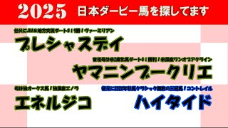 2025年日本ダービー馬を探してます 27 プレシャスデイ、エネルジコ、ヤマニンブークリエ、ハイタイドを注目馬として取り上げました。 [upl. by Atnwahs]