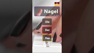 Nagel deutschlernen quiz lernen [upl. by Aisirtap731]