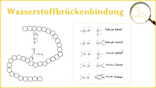 Die Wasserstoffbrückenbindung [upl. by Sascha]