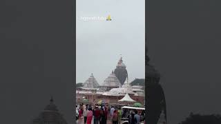 Jay Jagannath🙏 viral hindudeity shortsviral travel hindu god hindugod shortsfeed shorts [upl. by Yderf]