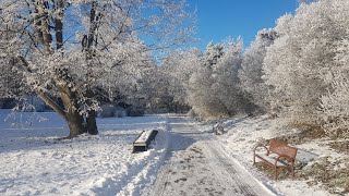 Bajeczna i przepiękna zima na Pomorzu 2023❄️🌨️ [upl. by Niletac]