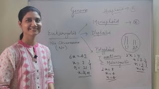 Introduction to Genome Monoploid Diploid Polyploid conditions [upl. by Reffotsirhc]