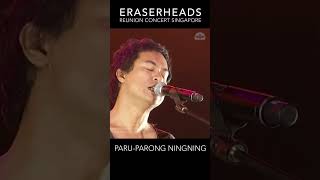 Paru parong ningning  eraserheads Live in Singapore eheads shorts P2 [upl. by Ardnohs174]