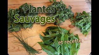 Récoltes sauvages Pesto dOrties et dail des ours [upl. by Ahsoik]