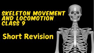 Skeleton Movement and Locomotion  Revision  class 9 ICSE [upl. by Iain]