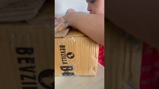 BEVZILLA UNBOXING [upl. by Mastrianni875]