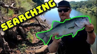 QUANTITY or QUALITY Post Spawn Bass Fishing [upl. by Euqinahs]