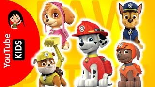 Paw Patrol Finger Family Songs  Chase Rubble Skye Marshall  Nursery Rhymes and more [upl. by Booth]