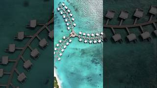 Have a blast at Alila Maldives where a luxury hotel with luxury overwater villas and private pools [upl. by Wonacott]