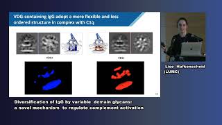 Roxane Biersteke  Diversification of IgG by VD glycans a novel mechanism to regulate complement [upl. by Ishmael550]