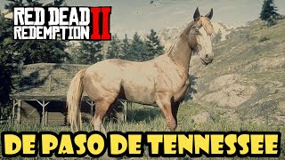 Como conseguir el caballo DE PASO DE TENNESSEE en Red Dead Redemption 2✔️ [upl. by Ruhnke]