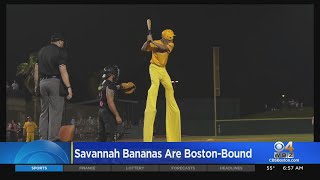 Savannah Bananas coming to Boston area [upl. by Cotterell]