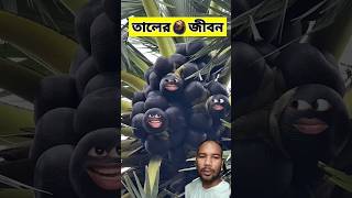 তালের জীবনে 😂  funnyvideo comedyshorts [upl. by Napas402]