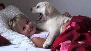 White Labrador Puppy Loves Girl [upl. by Salena]