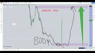 Seamless SEAM Crypto Price Prediction 2024 [upl. by Nuris876]