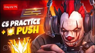 ff live  CS Rank Push  live free fire  garena free fire live  SgGamerz live  Team Code Gameplay [upl. by Llovera]