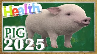 Pig Horoscope 2025  Health  Born 2019 2007 1995 1983 1971 1959 1947 1935 [upl. by Inilahs589]