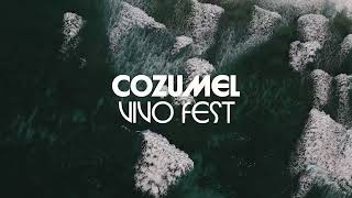 ¡ASÍ CELEBRAMOS JUNTOS EL COZUMEL VIVO FEST ✨ [upl. by Audrit]