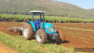 Landini Super 110 disking green bean stubble [upl. by Dnomse]