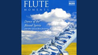 Orfeo ed Euridice Dance of the Blessed Spirits arr for flute and harp [upl. by Tommie]