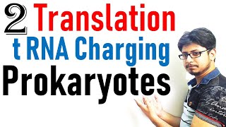 Translation in prokaryotes lecture 2  tRNA charging in protein synthesis [upl. by Swec379]