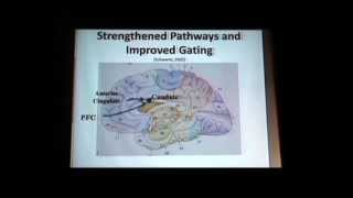 Neuroplasticity OCD Treatment That Changes The Brain with John Preston PsyD — JampK Seminars [upl. by Pelligrini881]