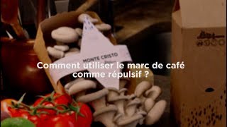 Le marc de café comme répulsif oui mais contre quoi [upl. by Gunn]