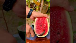 Ripe watermelon cutting very fresh l satisfying natural watermelon flavor reels like love top [upl. by Springer951]