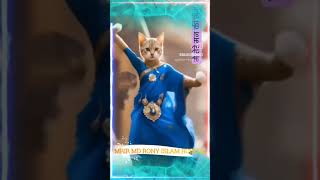 Na Re Na duet cat song catshorts catvideos catlovers sohom mimichakraborty banglasongs [upl. by Temme58]