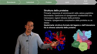 BIOLOGIA  Gli Acidi Nucleici [upl. by Sletten]