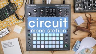 Novation  Circuit Mono Station [upl. by Nevaj]