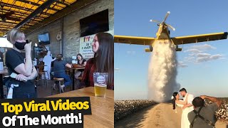 Top 50 Best Viral Videos of 2019 [upl. by Llednohs]