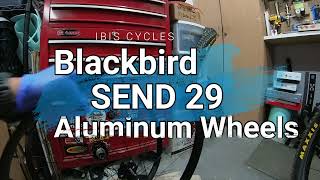 IBIS Cycle Blackbird SEND 29 Aluminum wheelset  Designed to Eliminate Pinch Flats [upl. by Fawcett]