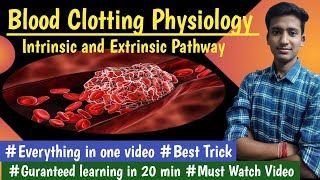 Intrinsic and Extrinsic Pathway  Blood Coagulation Physio LecturesMBBS hindi Ashish [upl. by Erdnuaed]