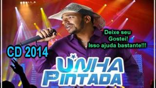 Unha Pintada Show CD 2014 Completo [upl. by Zobias]