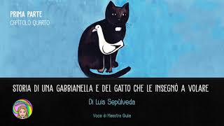 CAPITOLO 4  Storia di una gabbianella e del gatto che le insegnò a volare  Luis Sepùlveda [upl. by Delfeena]