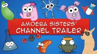 The Amoeba Sisters YouTube Trailer OLD VIDEO [upl. by Yesdnik]